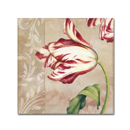 Color Bakery 'Peppermint Tulips II' Canvas Art,24x24